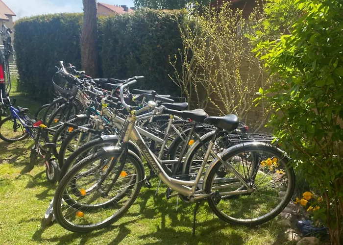 Goscinne - Mewa W Wiciu Wicie (West Pomeranian)