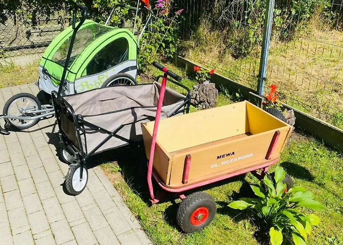 Goscinne - Mewa W Wiciu Wicie (West Pomeranian)