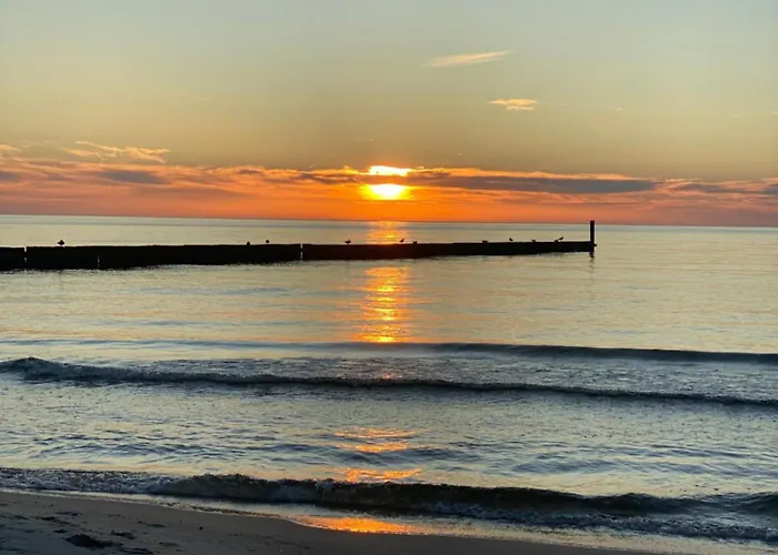 Goscinne - Mewa W Wiciu * Wicie (West Pomeranian)