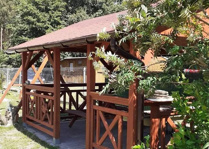 Goscinne - Mewa W Wiciu Wicie (West Pomeranian)